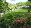 Central Park