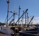 Cape Ann Whale Watch