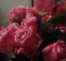 February 14, 2012