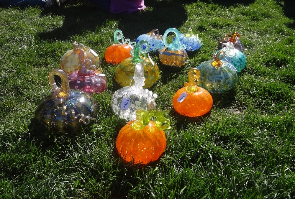 Becky's photoblog » Blog Archive Great Glass Pumpkin Patch - Becky's