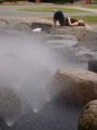 DSC01306