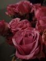 DSC01974