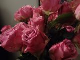 DSC01975
