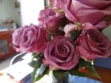 DSC01978