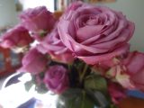 DSC01979