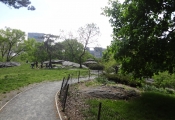 Central Park