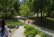 Central Park