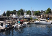 Cape Ann Whale Watch