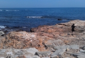 imag0362