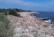 imag0364
