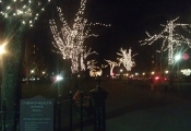 Comm Ave Mall