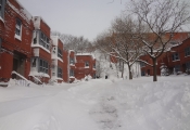 dsc04216