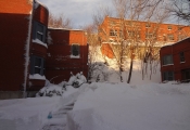 dsc04224