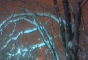 imag0706