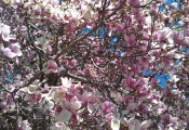 imag0862