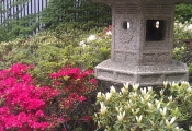 imag0915