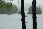 dscn0713