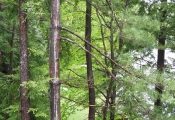 dscn0719