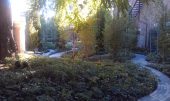 imag1284-jpg
