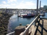 dsc05551-jpg