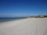 dsc05647-jpg