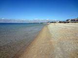 dsc05649-jpg