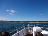 dsc05611-jpg