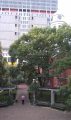 imag1373-jpg