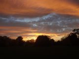 dsc05834-jpg