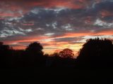 dsc05842-jpg