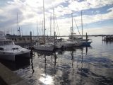 Newport Harbor