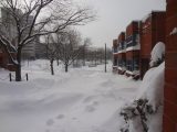 dsc04211