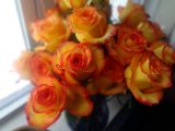 dsc06544