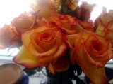 dsc06552