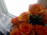 dsc06558