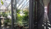 20140217_123253