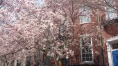 20140425_131432