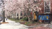 20140425_131455