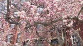 20140425_131524