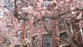 20140425_131530