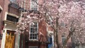 20140425_131603