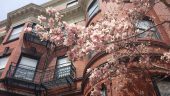 20140425_131751