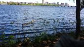 20140520_114858