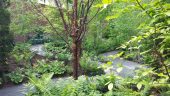 20140524_110753