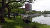 20140608_122206