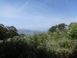 DSC07878