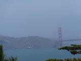 DSC07884