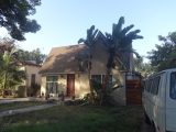 DSC08131