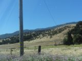 DSC07950