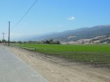 DSCN0918